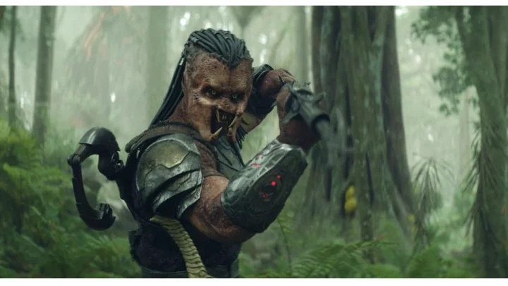 Predator with a hunter story