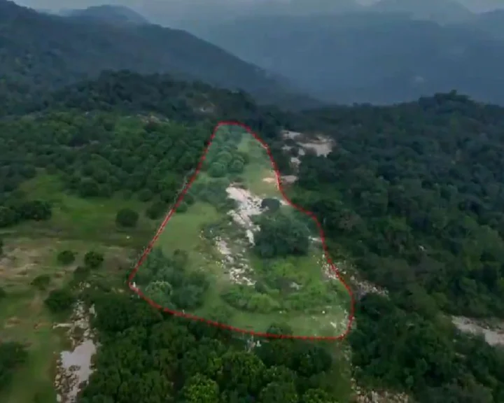 పెద్దిరెడ్డి కుటుంబం 32.63 ఎకరాల అటవీ భూమిని ఆక్రమించుకుంది