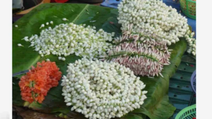 తమిళనాడులో భారీగా పెరిగిన పువ్వుల ధరలు.. కిలో మల్లెలు రూ.3వేలు