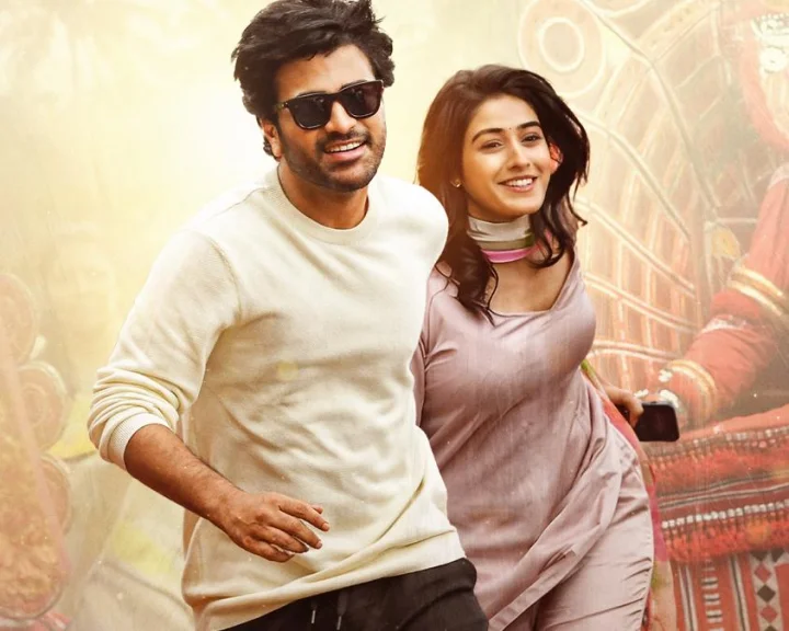 శర్వా, సాక్షి మధ్య కెమిస్ట్రీ ప్రత్యేక ఆకర్షణగా నారి నారి నడుమ మురారి