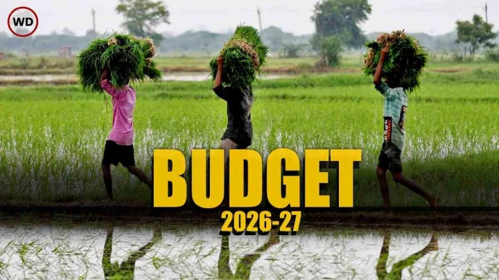 కేంద్ర బడ్జెట్.. రైతులకు గుడ్ న్యూస్ - 2047 వరకు డేటా సెంటర్లకు ట్యాక్స్ హాలీడే