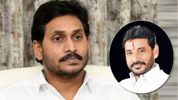 వాట్.. శీనూ ది గ్రేట్... ఫ్యామిలీ రచ్చ ఎందుకబ్బా... దువ్వాడతో జగన్ వ్యాఖ్యలు