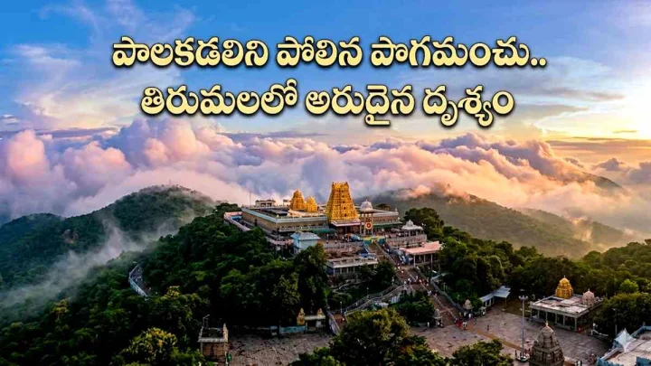 Tirumala: పాలకడలిని పోలిన పొగమంచు.. తిరుమలలో అరుదైన దృశ్యం