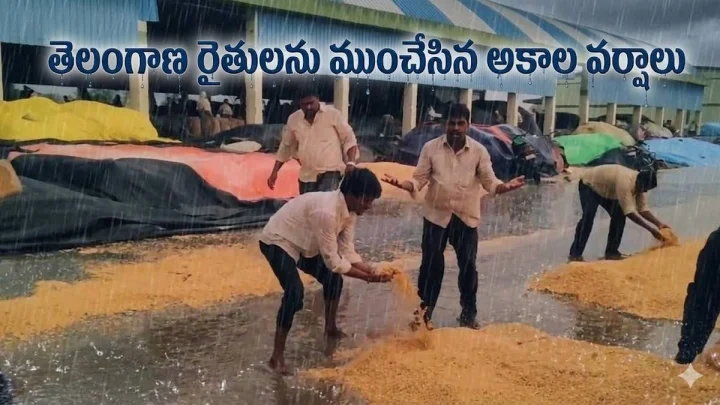 తెలంగాణ రైతులను ముంచేసిన అకాల వర్షాలు (video)