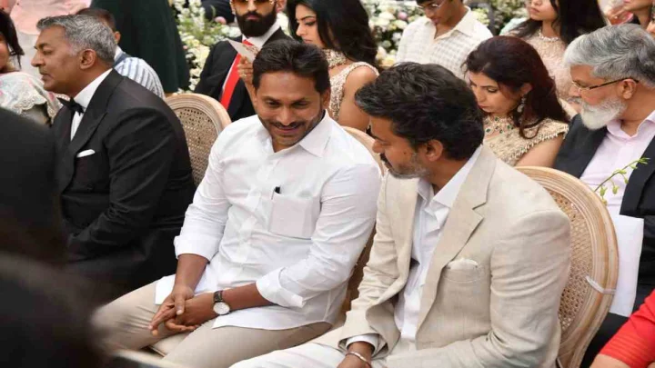 తమిళనాడులో విజయ్‌ గెలుపు.. సంబరాలు చేసుకుంటున్న జగన్ ఫ్యాన్స్.. ఎందుకు?