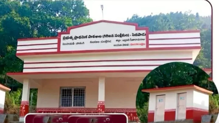 గిరిపుత్రులకు ఇచ్చిన హామీని నెరవేర్చిన ఏపీ డిప్యూటీ సీఎం.. ఏంటది?