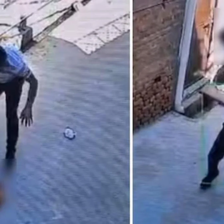 toddler kill