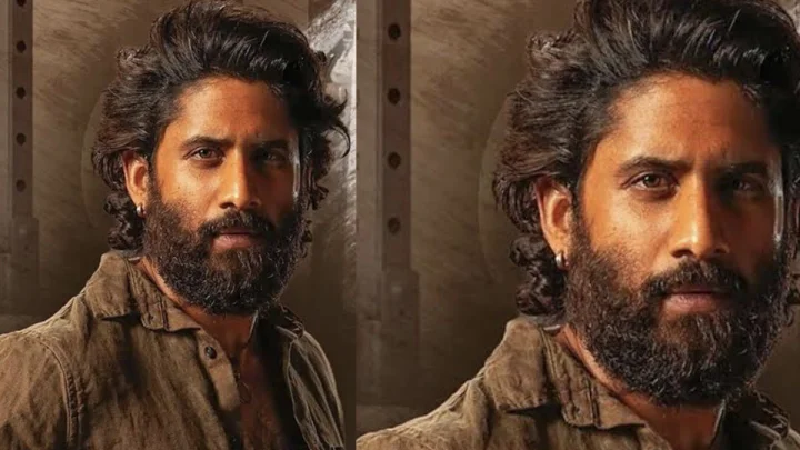 Chaitu: నాగ చైతన్య కు ఢిల్లీ హైకోర్టులో విజయం