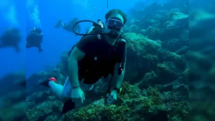 Rahul Gandhi scuba diving