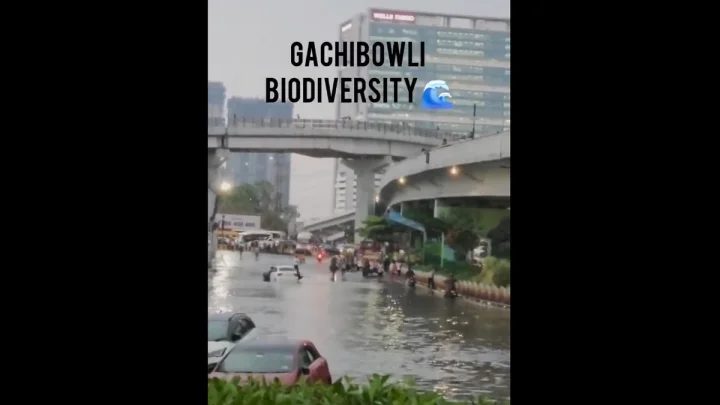 Hyderabad rains: మీ ఆంధ్రోళ్ల వల్లే డ్రైనేజ్ సిస్టమ్ సరిగ్గా లేకుండా రోడ్స్ వేసారు, SM మీమ్స్