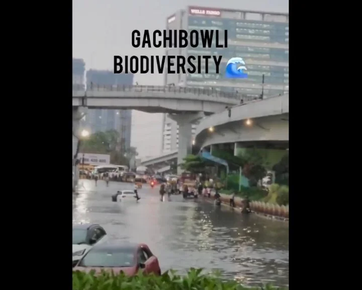 Hyderabad rains: మీ ఆంధ్రోళ్ల వల్లే డ్రైనేజ్ సిస్టమ్ సరిగ్గా లేకుండా రోడ్స్ వేసారు, SM మీమ్స్