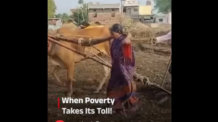 woman - bull