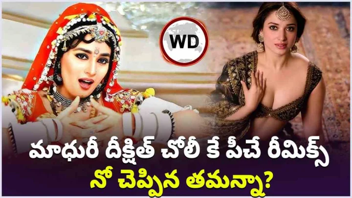Tamannaah Bhatia: మాధురీ దీక్షిత్ చోలీ కే పీచే రీమిక్స్ వెర్షన్‌.. నో చెప్పిన తమన్నా భాటియా?