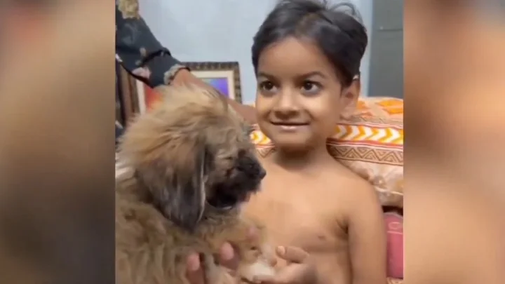 హన్మకొండ బాలుడు నిరంజన్ వద్దకు గంటలో కుక్కపిల్ల పంపిన ఏపీ డిప్యూటీ సీఎం పవన్, వీడియో