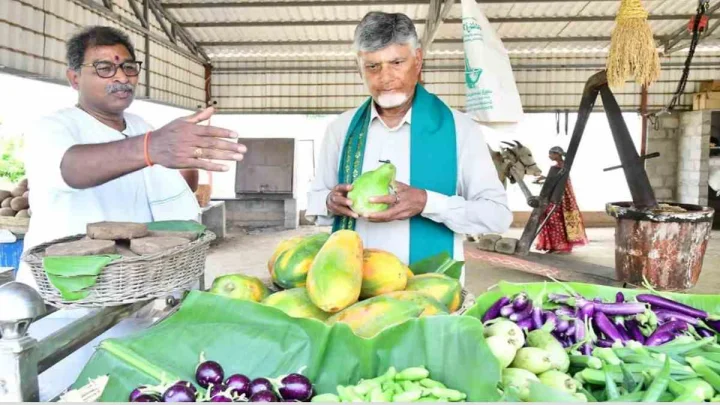 భువనేశ్వరి గారు ఆర్డర్ చేస్తే.. రైతు బజారులో కూరగాయలు కొన్న సీఎం చంద్రబాబు (video)