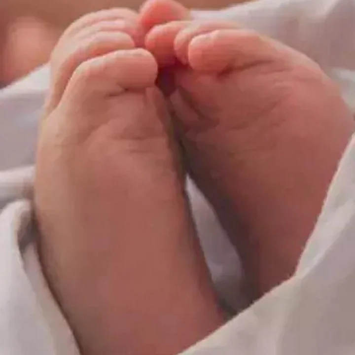 infant baby