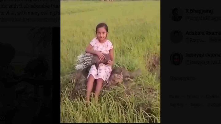 Little Girl: ముళ్లపందితో చిన్నారి స్నేహం.. వీడియో వైరల్