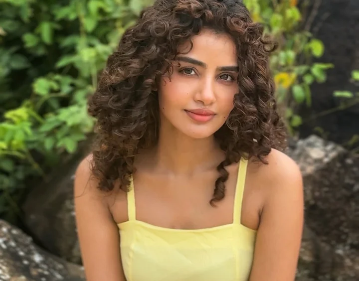 ధృవ్ విక్రమ్‌తో అనుపమ పరమేశ్వరన్ బ్రేకప్?