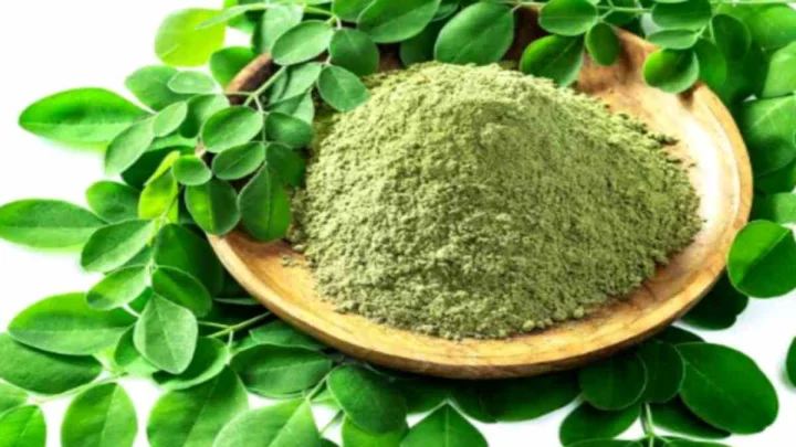 Moringa Leaves: మునగాకు పొడిని ఇలా వాడితే...?