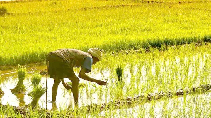 2026 ఖరీఫ్‌కి సంబంధించి ఆంధ్రప్రదేశ్‌లోని 9 జిల్లాల్లో పీఎంఎఫ్‌బీవైని అమలు చేసే బీమా భాగస్వామిగా టాటా ఏఐజీ