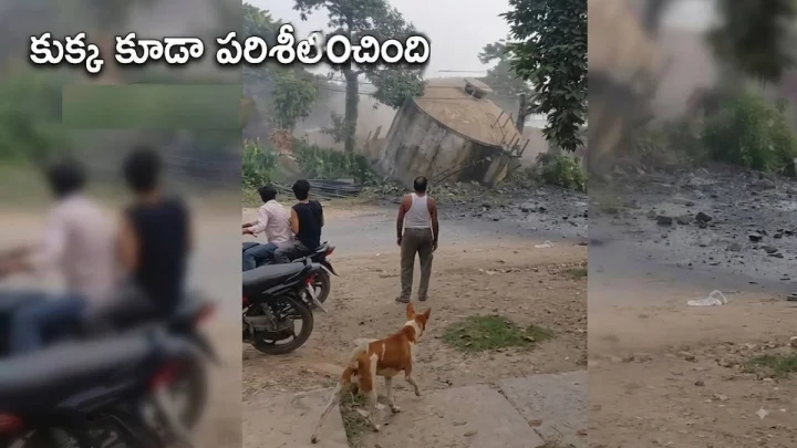ఒక్కసారిగా కుప్పకూలిన వాటర్‌ హెడ్‌ట్యాంక్, కుక్క కూడా పరిశీలించింది, వీడియో