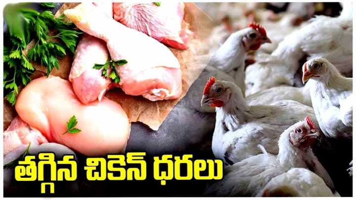 శ్రావణ మాసం: తెలుగు రాష్ట్రాల్లో తగ్గిన కోడిగుడ్లు, చికెన్ ధరలు