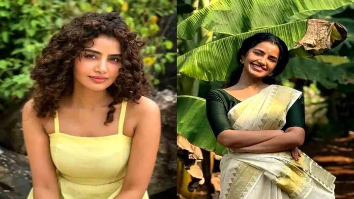 ముగిసిపోయిన బంధానికి అనుపమ మళ్లీ ప్రాణం పోయడం ఎందుకు?