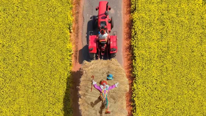 మనిషిలోని ఉత్సాహాన్ని ప్రతిబింబిస్తూ బెర్గర్ పెయింట్స్ సరికొత్త ప్రచార కార్యక్రమం