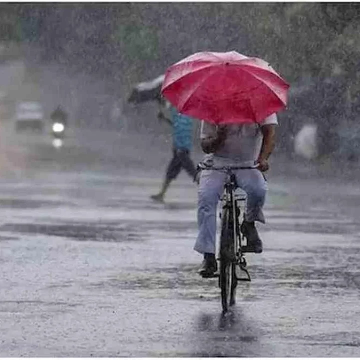 Heavy Rain