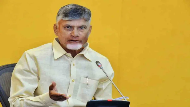 స్థానిక సంస్థల ఎన్నికలు..  ఎన్నికల రంగంలో చురుకుగా వుండాలి... చంద్రబాబు