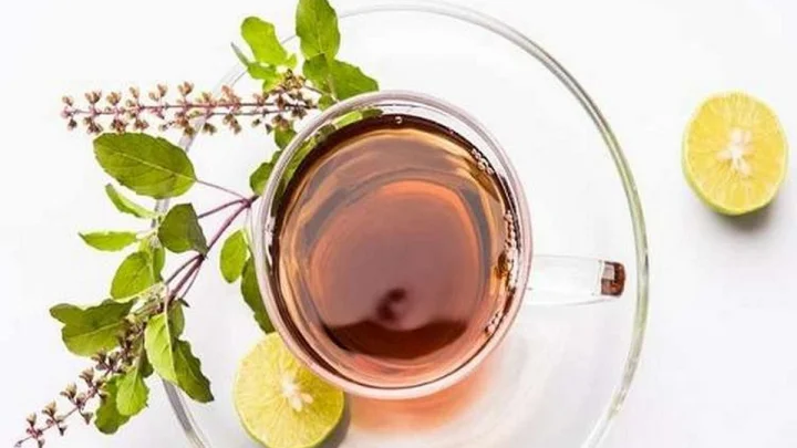 Tulsi Tea
