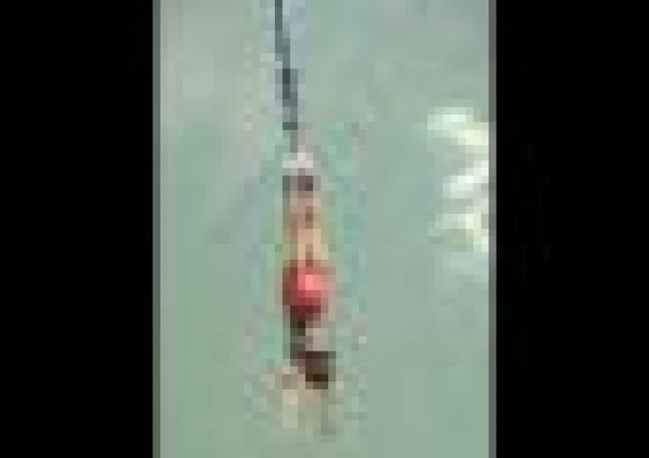 Bungee Jump, బంగీ జంప్‌తో గుండె ఆగిపోయింది, వీడియో