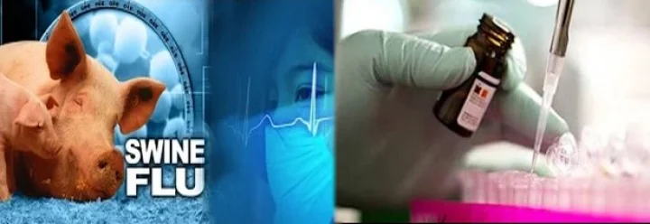 swine flu