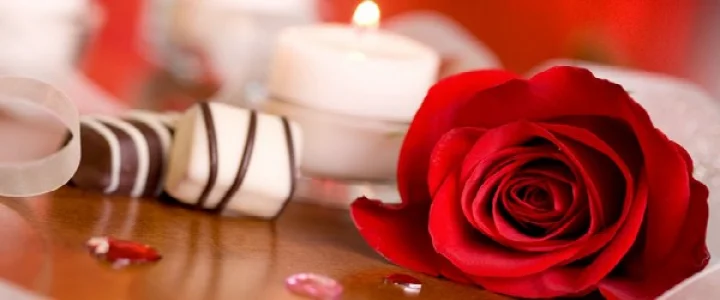 rose petals